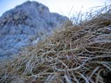 Greben Debelega vrha z jesenskih trav