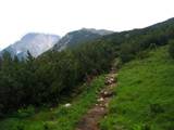 Grintovec in Kalški greben