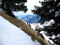 Tudi Bistriška planina na vzhodni strani gore je že avstrijska