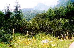 Gora v sredini je Gradovec, planina Poljana leži zadaj Foto: Jože Praprotnik