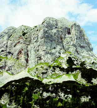 Mišelj vrh, s poti nad Vodnikovo kočo Foto: Urška Šprogar