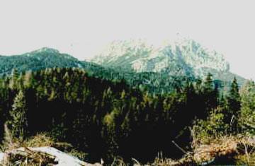 Pogled preko Dolge njive na greben Košute. Foto: Jože Praprotnik